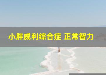 小胖威利综合症 正常智力